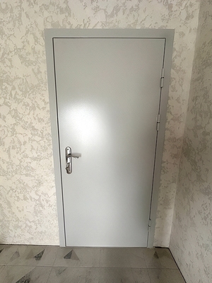 Глухая металлическая дверь