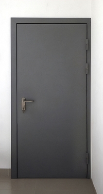 Темно-серая глухая дверь