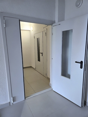 Остекленные двери Остекленные двери