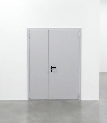 Глухая полуторная дверь Глухая полуторная дверь