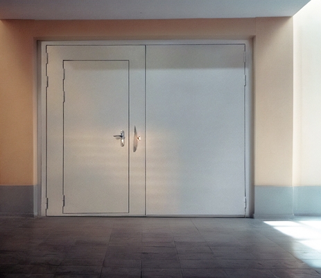 Ворота с дверью Ворота с дверью